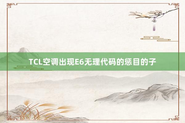 TCL空调出现E6无理代码的惩目的子